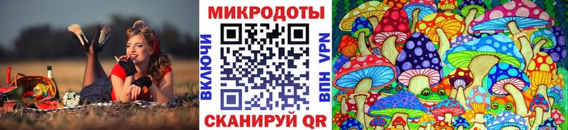 Псилоцибиновые грибы Psilocybine cubensis  Жигулёвск 
